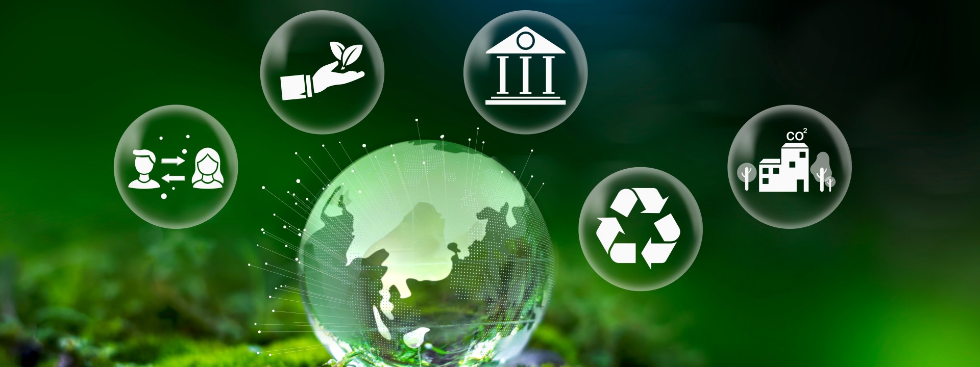 Tuv-Rheinland-Net Zero Consulting Services