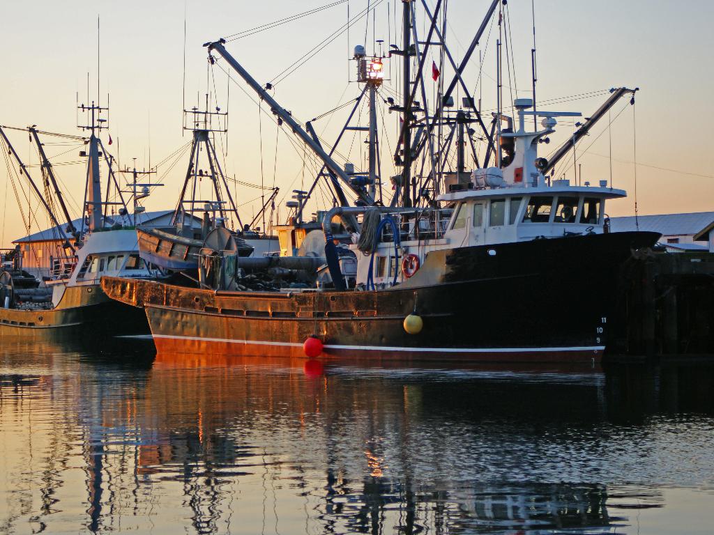 Measurements for Enerfish, a new Biodiesel from Fishwaste