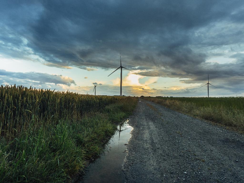 Assessment of Meteorological Site Conditions