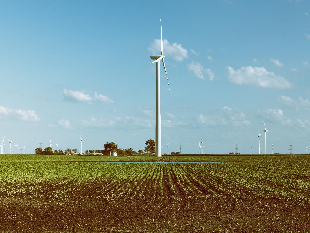 Wind and Energy Yield Assessment for Meerwind