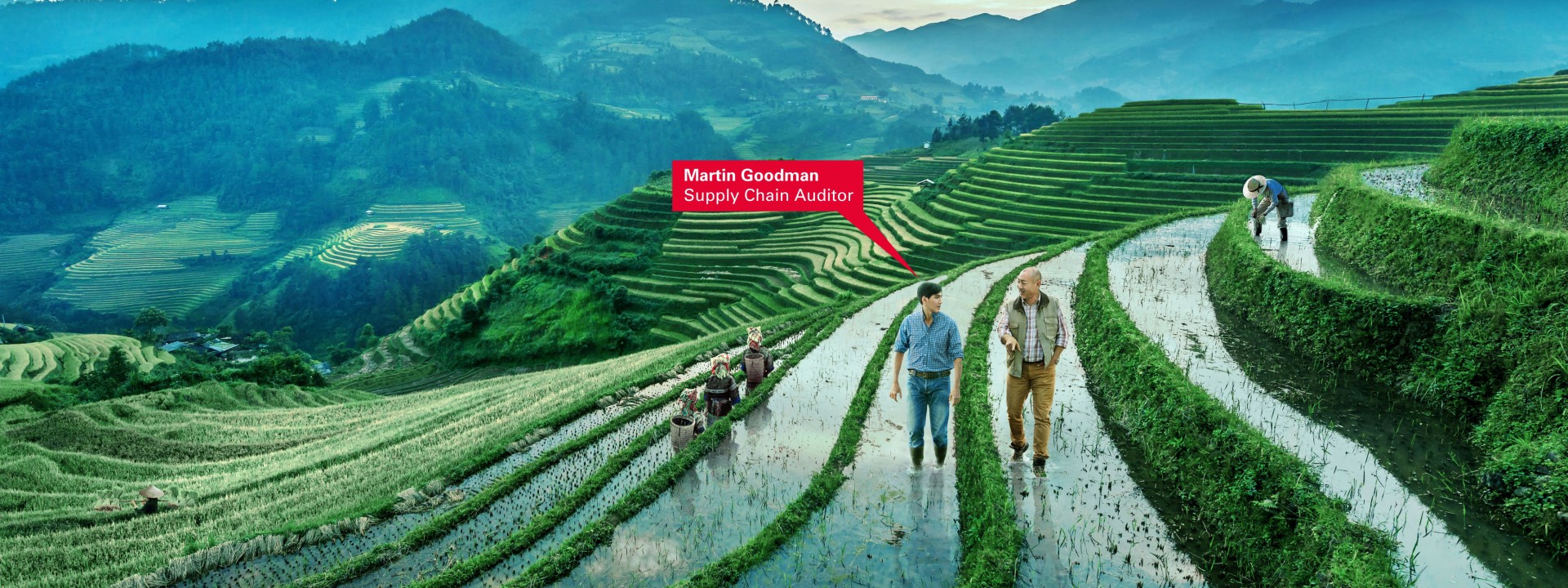 Supply Chain Audits