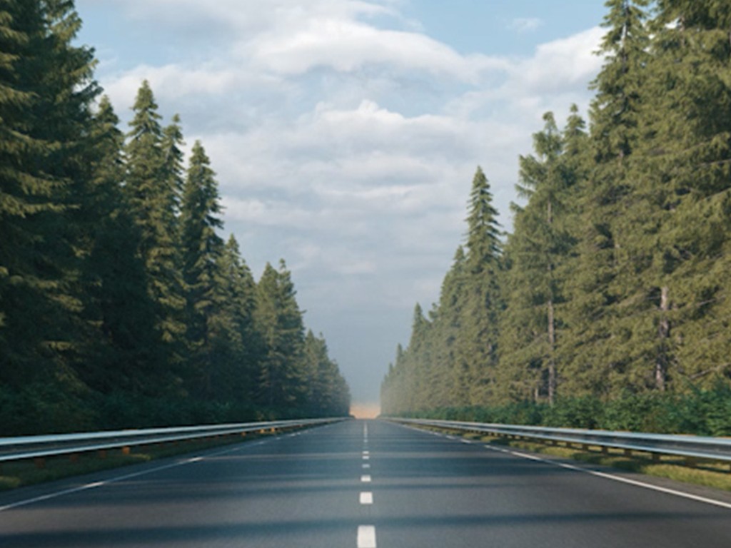 Reference Case – Roadmap to carbon neutrality