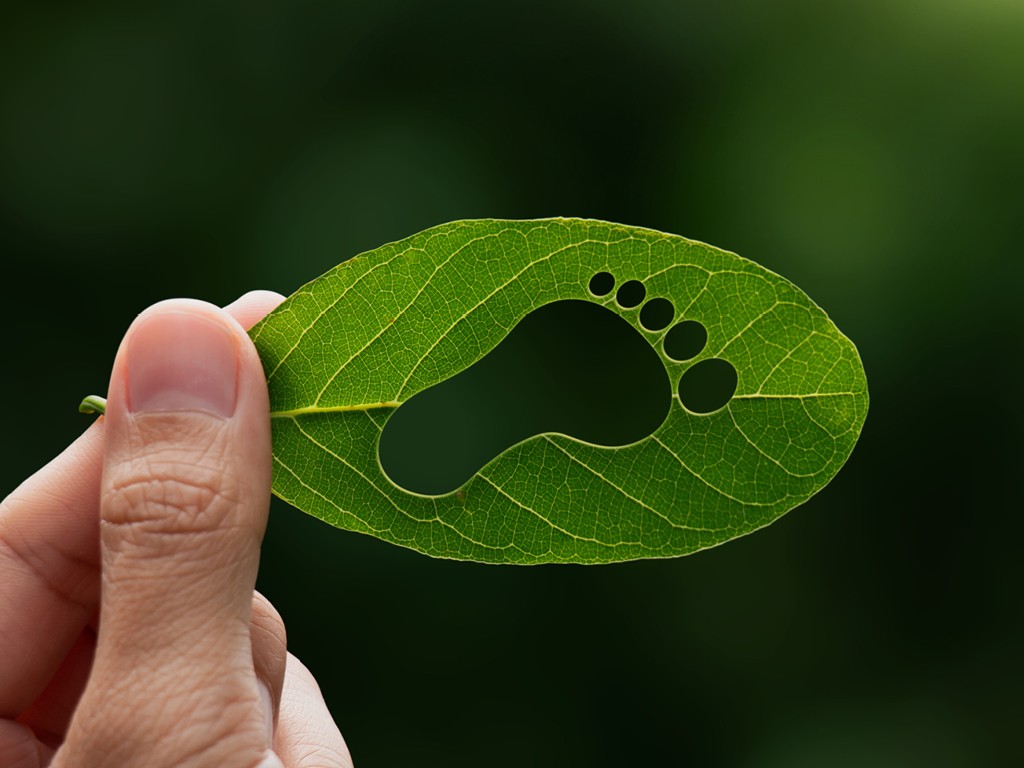 Klimaschutz Services