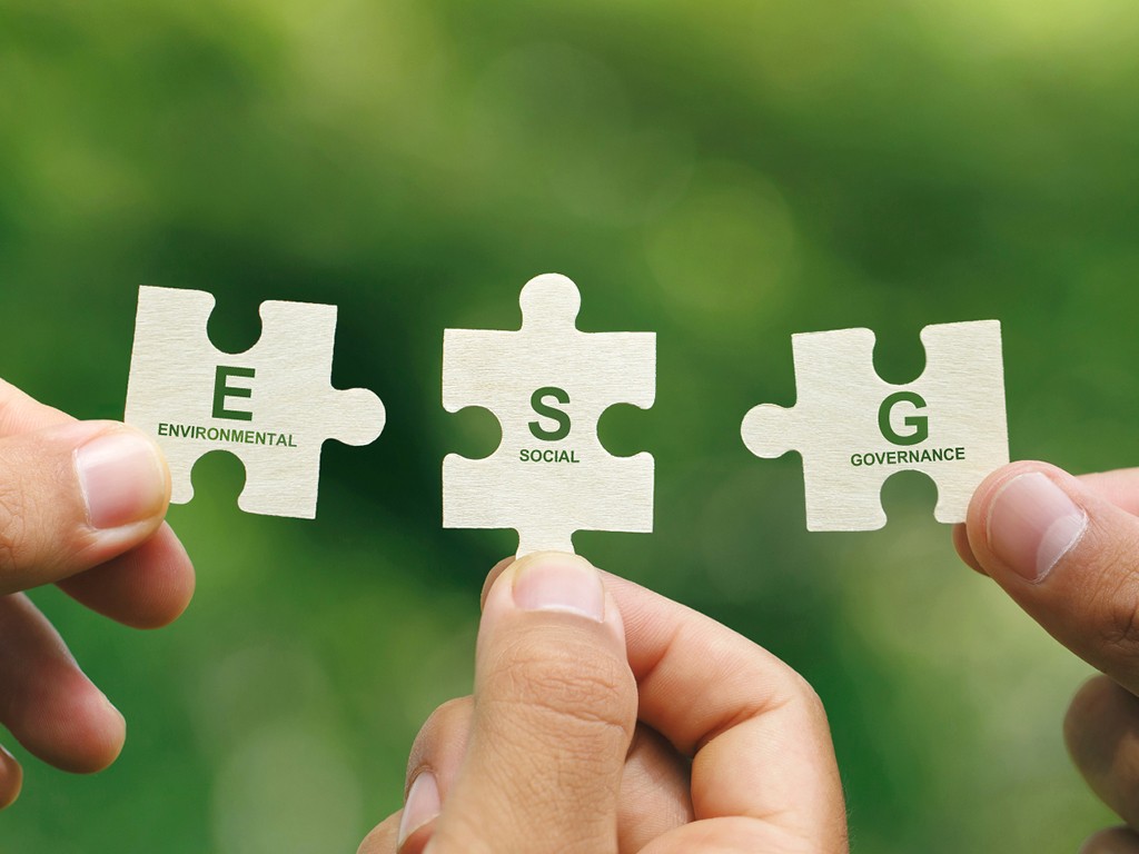 Nachhaltigkeitsmanagement