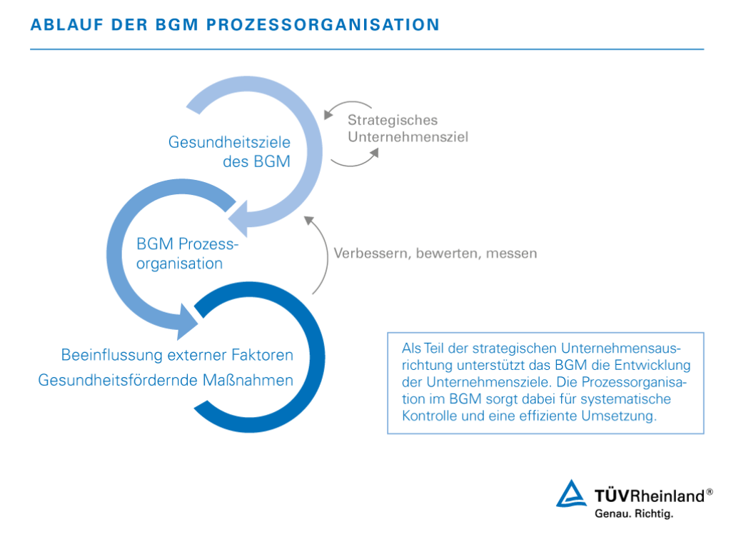 Ablauf der BGM Prozessorganisation