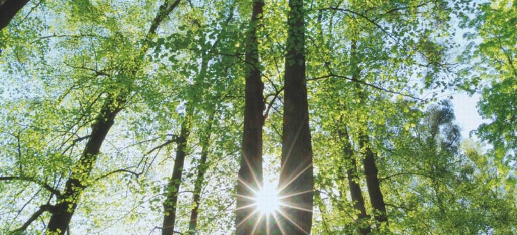 Dienstleistungen für den Klimaschutz