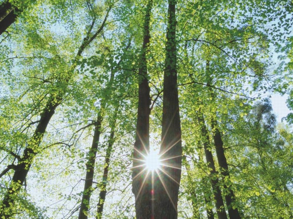 Dienstleistungen für den Klimaschutz