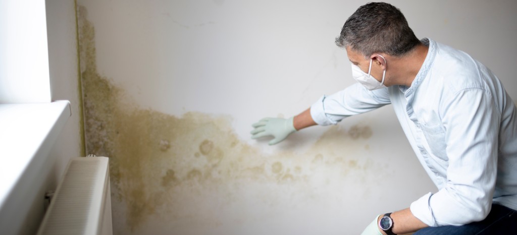 Schimmelpilzuntersuchung | TÜV Rheinland