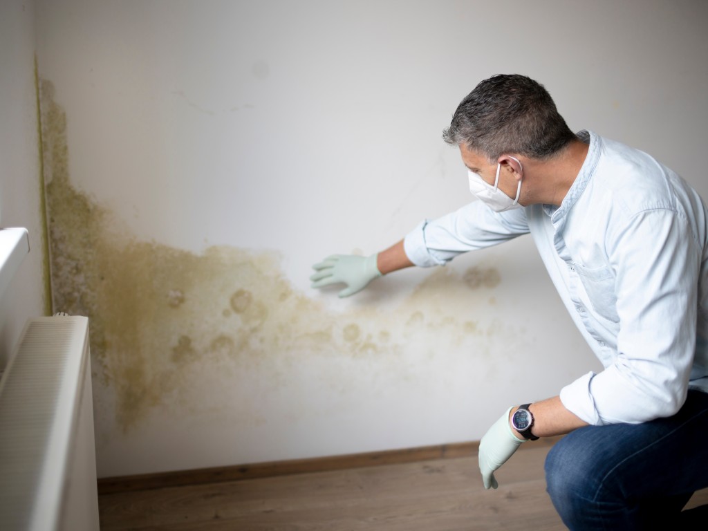 Schimmelpilzuntersuchung | TÜV Rheinland