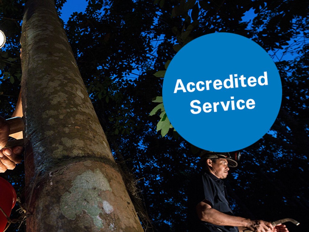 Certyfikacja GLOBALG.A.P. | TÜV Rheinland