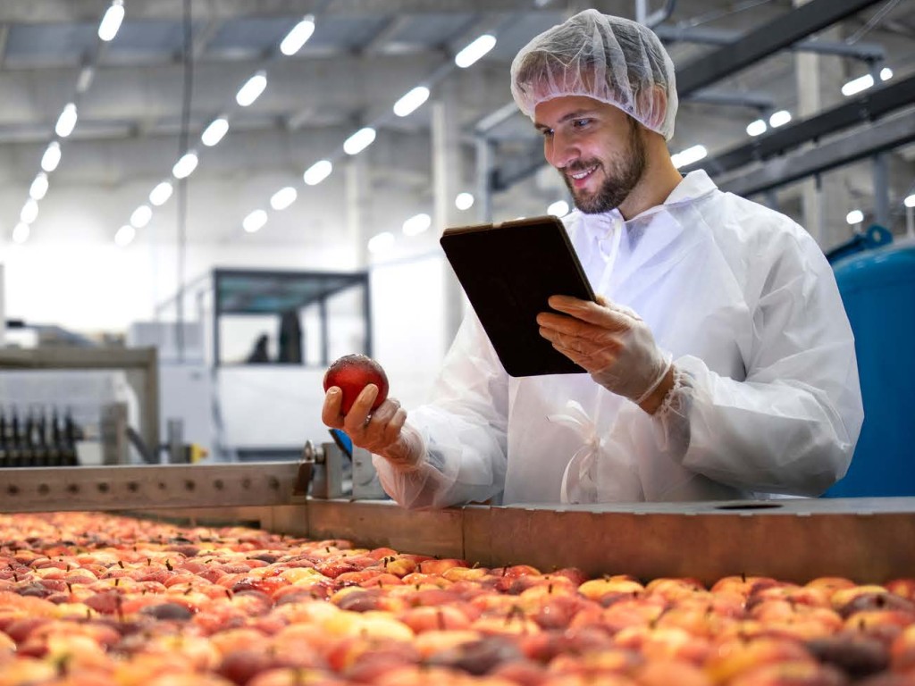 Angajat al unei companii din industria alimentară inspectând fructele